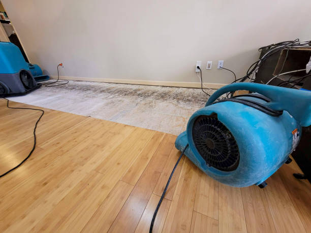 Professional Basement Flood Cleanup technician working in Gallaway, TN